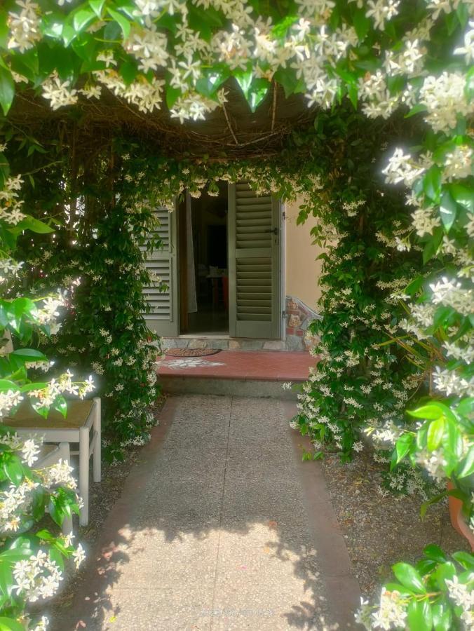 La Casa Di Fiorella Черето Гуиди Екстериор снимка